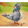 LEGO Creator 31163 Psotny kot - 1283665 - zdjęcie 7